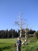 5.14.06 Indian Beach Mother's Day 160